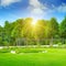 Summer park and beautiful flowerbeds