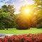 Summer park with beautiful flowerbeds