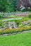 Summer park, bench in a garden, flowers, plants