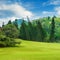 Summer park,hedge, green meadow and blue sky.