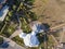 Summer park landscape with patio, green trees, lawns and footpath, aerial top view