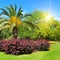 Summer park with palm trees, flower beds and lawns.