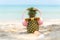 Summer in the party. Hipster Pineapple Fashion in sunglass and listen music