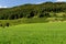 Summer pastoral landscape in Switzerland