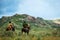 Summer pastures in an intermontane valley. Riders on horseback