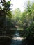 summer path in the forest