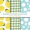 Summer pattern collection. Lemon theme. Summer banner