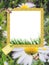 Summer photo-frame / background for congratulation