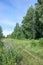 Summer photography.   Cleaning in the forest. Open space in the forest, especially one peeled for cultivation. dirt road