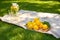 Summer picnic on green grass with glass jug of cool lemonade, three glasses with straws and whole lemons on wooden tray in garden