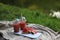 on a summer picnic on a white board on the shore of the lake, a watermelon cocktail