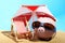 Summer piggy bank with sunglasses standing on sand under red and white sunshade next to beach chair