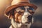 Summer portrait of a pet outside. The charming Jack Russell Terrier wears a straw hat and sunglasses. A dog poses at