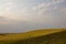 Summer Prairie Scene