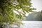 Summer rain storm tree by river