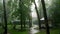 Summer rain, a thunderstorm, a heavy downpour at the recreation center, in a pine forest, park. water flows down in