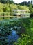 Summer reflection on Houston Pond at Cornell