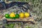 Summer refreshments. Glass of water, lemons, limes and mint on the background of scandinavian nature. Different water drops combin