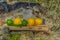 Summer refreshments. Glass of water, lemons, limes and mint on the background of scandinavian nature. Different water drops combin