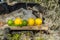 Summer refreshments. Glass of water, lemons, limes and mint on the background of scandinavian nature. Different water drops combin