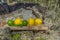 Summer refreshments. Glass of water, lemons, limes and mint on the background of scandinavian nature. Different water drops combin