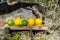 Summer refreshments. Glass of water, lemons, limes and mint on the background of scandinavian nature. Different water drops combin