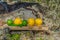 Summer refreshments. Glass of water, lemons, limes and mint on the background of scandinavian nature. Different water drops combin