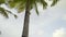 Summer rest, view of bungalow in sea and tall palm trees against sky at tropical resort