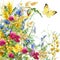 Summer rural field Herb flowers and butterfly background. watercolor illustration