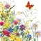 Summer rural field Herb flowers and butterfly background. watercolor illustration