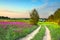 Summer rural landscape with a blossoming meadow, road and a farm
