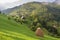 Summer rural landscape in the Carpathian mountains