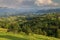 Summer rural landscape in the Carpathian mountains