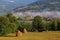 Summer rural landscape in the Carpathian mountains, in Moeciu - Bran, Romania