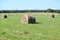 Summer rural landscape with hay rolls on a green meadow