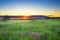 Summer rural landscape with a meadow and blossoming flowers