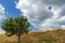 Summer rural landscape over Val d`Agri, Basilicata