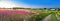 Summer rural landscape panorama with a blossoming meadow