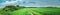 summer rural landscape. panoramic view of a green agricultural field with a bush along a dirt road