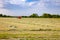 Summer rural landscape with tractor collecting hay in the field