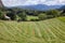 Summer rural landscape with tractor making windrows of freshly cut hay a field in Norway Scandinavia