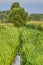 Summer rural landscape with trees, meadow and brook