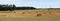 Summer rural landscpae. Golden bales with hay. Forest. Electricity pylons. Electricity poles. Electricity posts