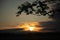 Summer\\\'s Golden Elixir: Majestic Sunrise Peeking Through Tree Branches