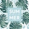 Summer sale poster with monstera deliciosa in realistic style with high details and modern flat elements.