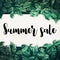 Summer sale text with green leaf