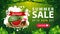 Summer sale, up to 50% off, green discount web banner for your business with watermelon, button, abstract bubbles shape