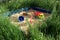 Summer sandpit in the grass with abandoned toys