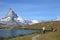 Summer scenery at Matterhorn
