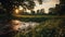Summer Scenery: Sunrise Over A Stream In A Farm Country Area